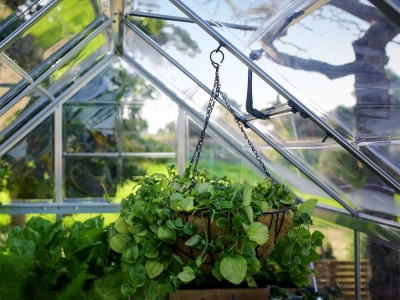 Palram - Canopia Sada 10-ti háčků